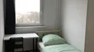 Room for rent, Berlin Lichtenberg, Berlin, Alt-Friedrichsfelde, Germany
