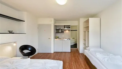 Apartment for rent in Zürich Distrikt 7, Zürich