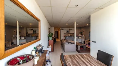 Apartment for rent in Goeree-Overflakkee, South Holland