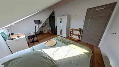 Room for rent in Ortenaukreis, Baden-Württemberg